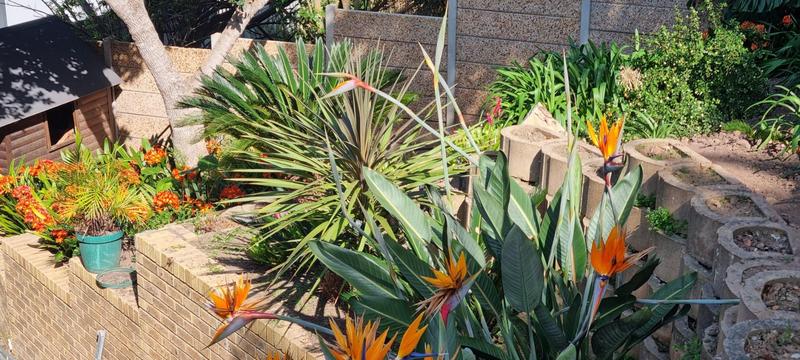 6 Bedroom Property for Sale in Outeniqua Strand Western Cape